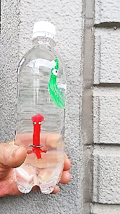 サイエンス教室
【親子参加型】色々な浮沈子を作って遊ぼう
