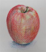 リンゴの色えんぴつ画
