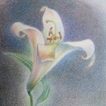 リンゴの色えんぴつ画