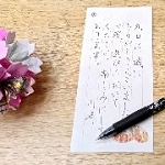 紫陽花の写真