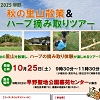 早野秋の里山散策＆ハーブ摘み取りツアーチラシ
