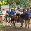 動物体験プログラムのイベント