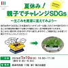 夏休み！親子でチャレンジSDGsちらし