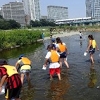 多摩川教室のチラシ