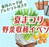 歴史セミナーのチラシ